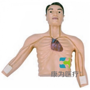 “康為醫(yī)療”P(pán)ICC線(xiàn)介入操作訓(xùn)練模型,PICC線(xiàn)介入操作模型