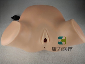 高端產(chǎn)科四步觸診、肛查、陰道檢查訓(xùn)練模型
