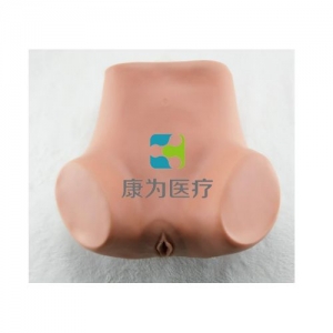 “康為醫(yī)療”子宮底檢查模型,產(chǎn)后子宮底評(píng)定、按摩訓(xùn)練模型,子宮底檢查評(píng)定模型