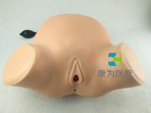 “康為醫(yī)療”婦產(chǎn)科四步觸診肛查陰道檢查監(jiān)測(cè)考核指導(dǎo)模型,高級(jí)腹部觸診、分娩機(jī)轉(zhuǎn)綜合模型