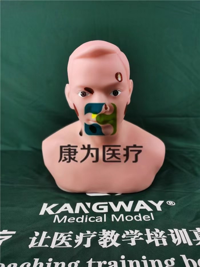 甲狀腺穿刺技能訓(xùn)練模型，甲狀腺穿刺技能訓(xùn)練模型新品.jpg